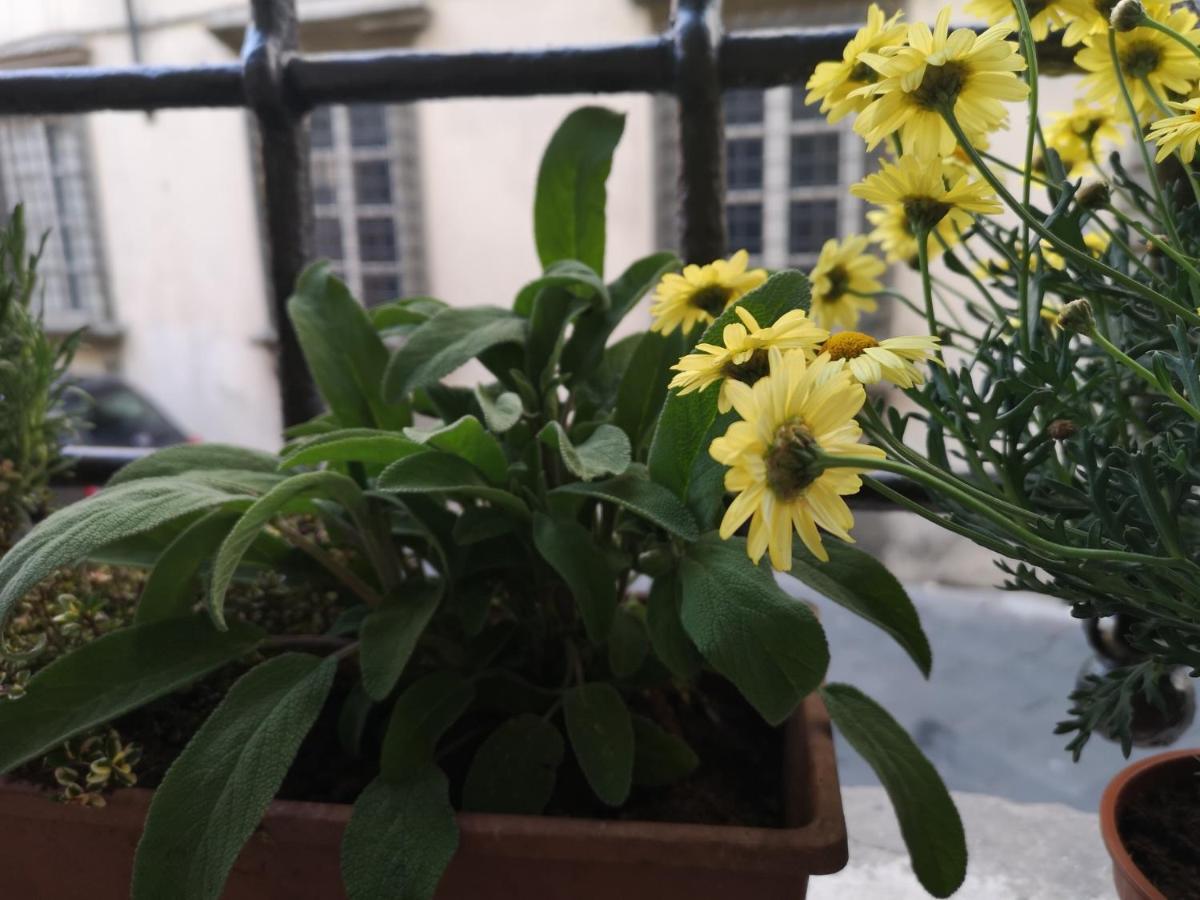 루카 La Chiocciolina 아파트 외부 사진
